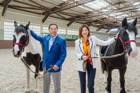 Year of the Horse Greetings 1.jpg