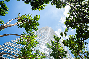 8 ways exchange support thumbnail 300x200